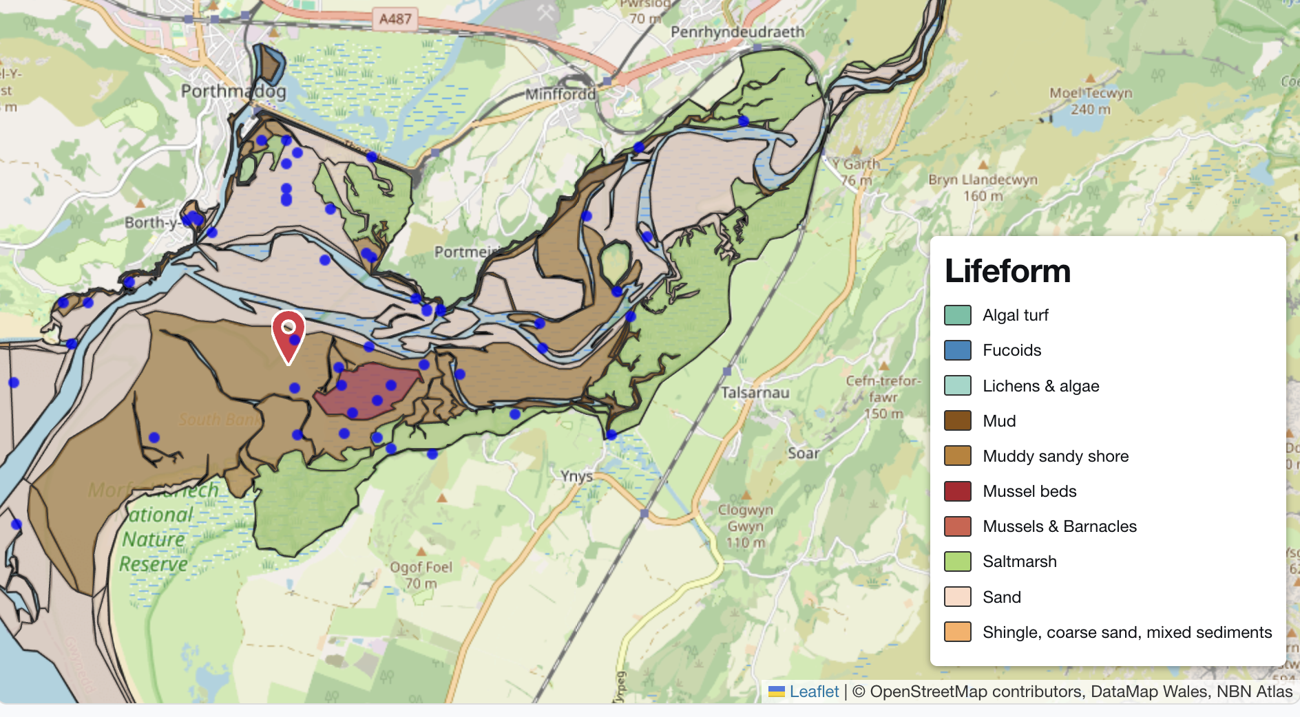 Habitats and Biotopes - Gwynedd